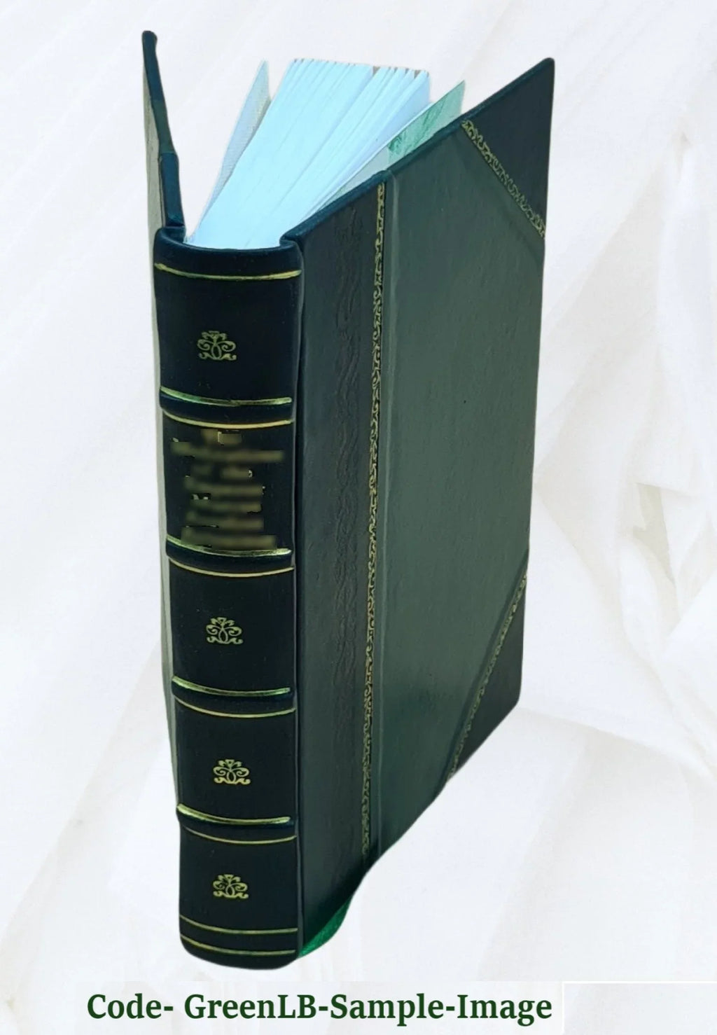 Louis-Jérome Président 18 v.2 au de Volume Gohier, Directoire du 1824 [Leather Mémoires brumaire. Bound]