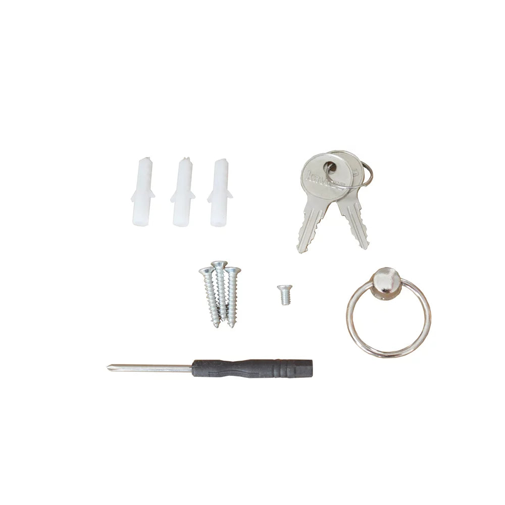 Key Hooks Mount Box Wall Cabinet 100 Organizer Beige Lock EQCOTWEA Key