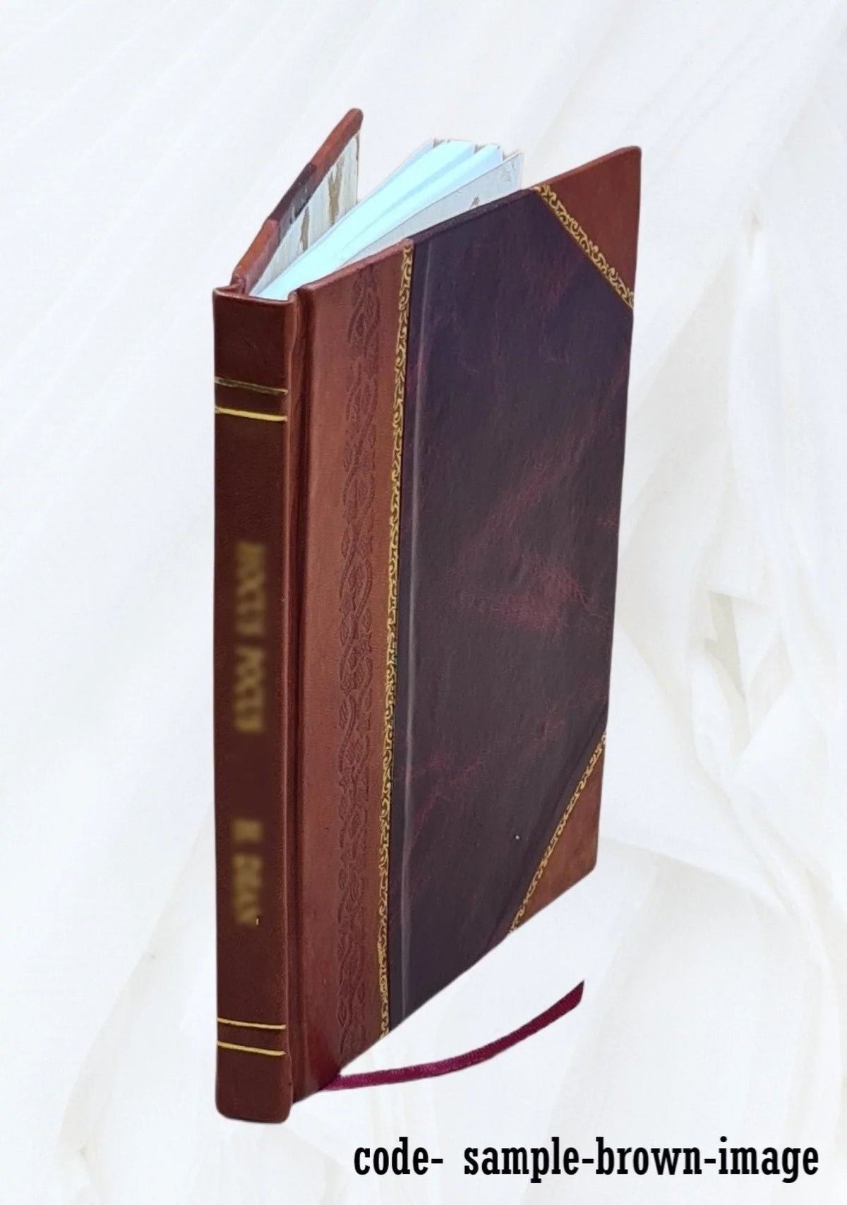 De 1852 officiis [Leather Bound] Ad filium Marcum