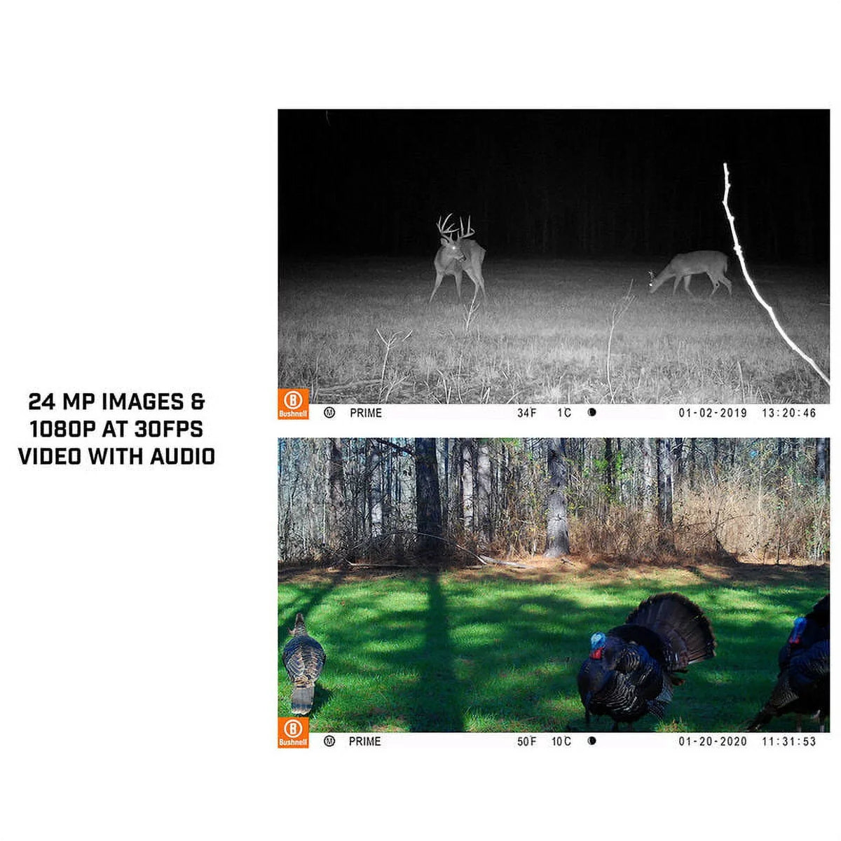 24MP Camera, Prime BUS119932M Bushnell Trail Low Glow Tan