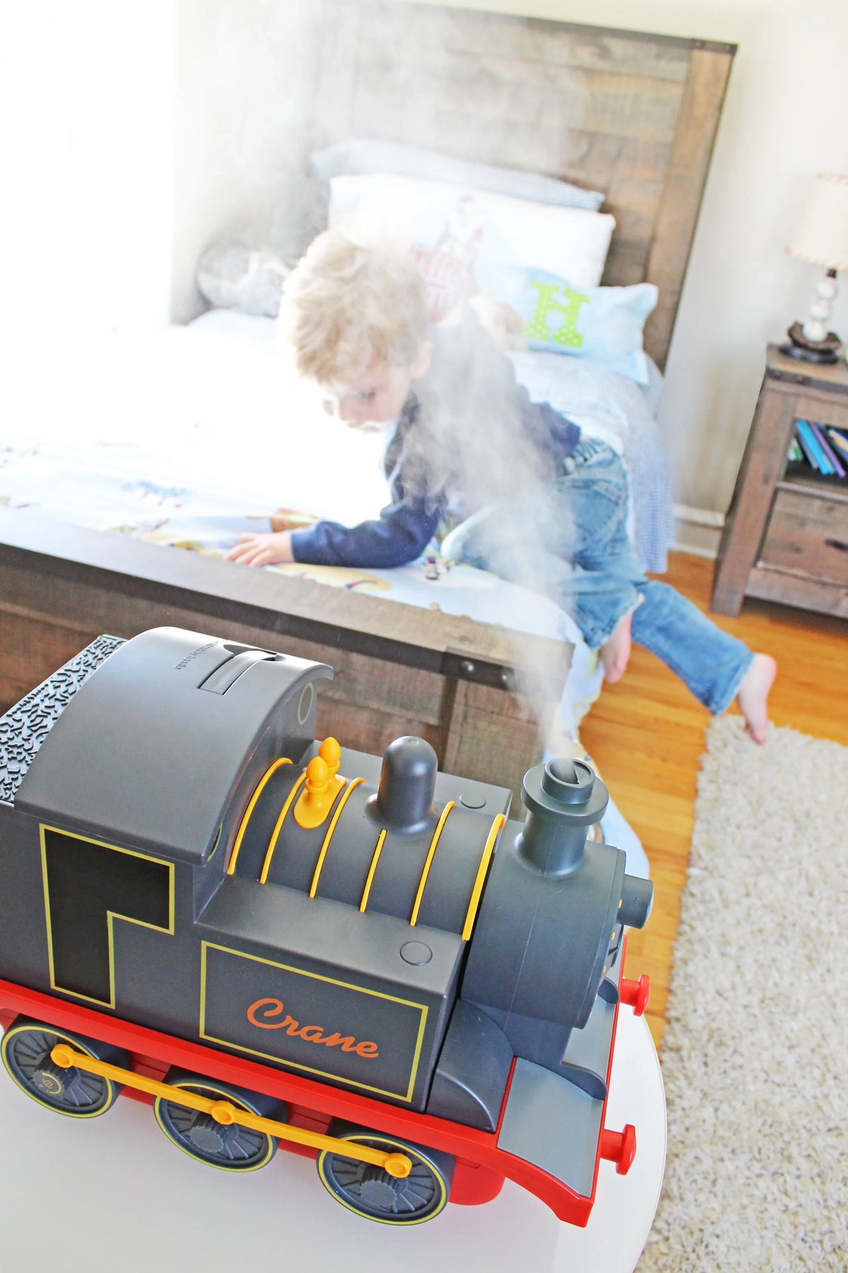 Crane - Mist Train Adorable Cool Ultrasonic Humidifier