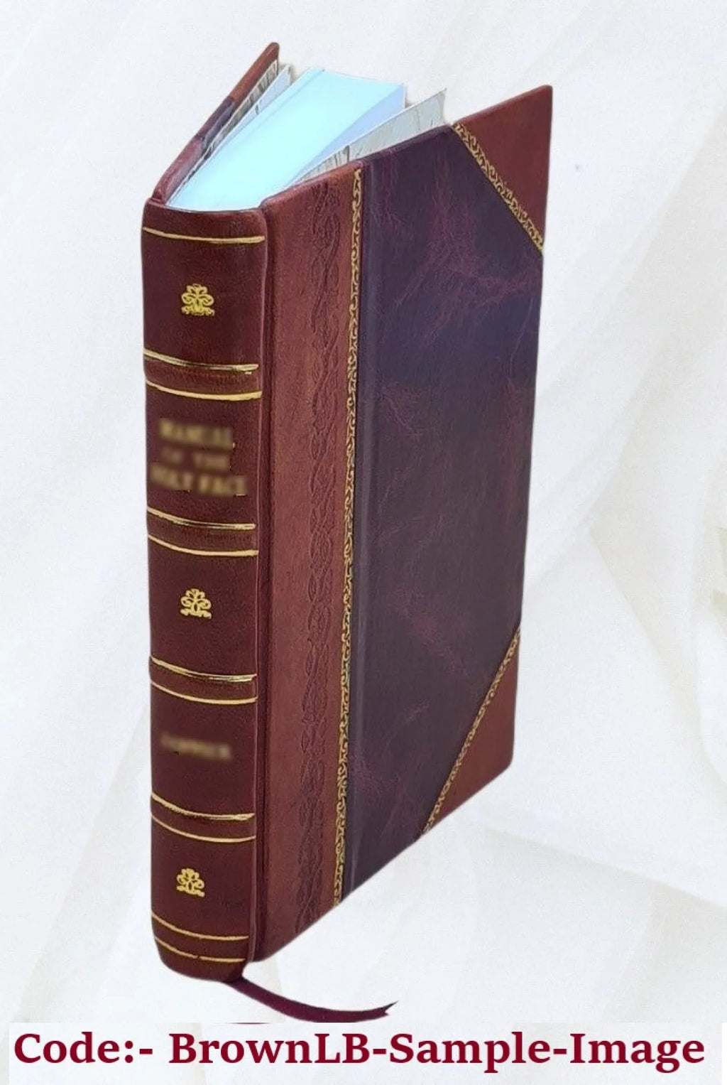 illustratus Ad argumentis commentariis, Victoris Lodoici Marcum scholiis Jacobi item Philippi Strebaei, authoris incerti , Volume et Orator cujusdam Brutum et Melanchthonis Pisani