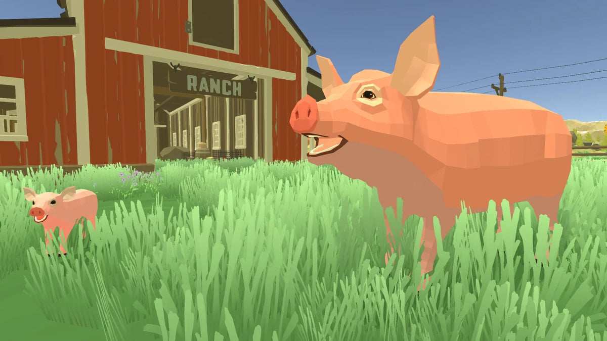 Nintendo Harvest Days, Switch